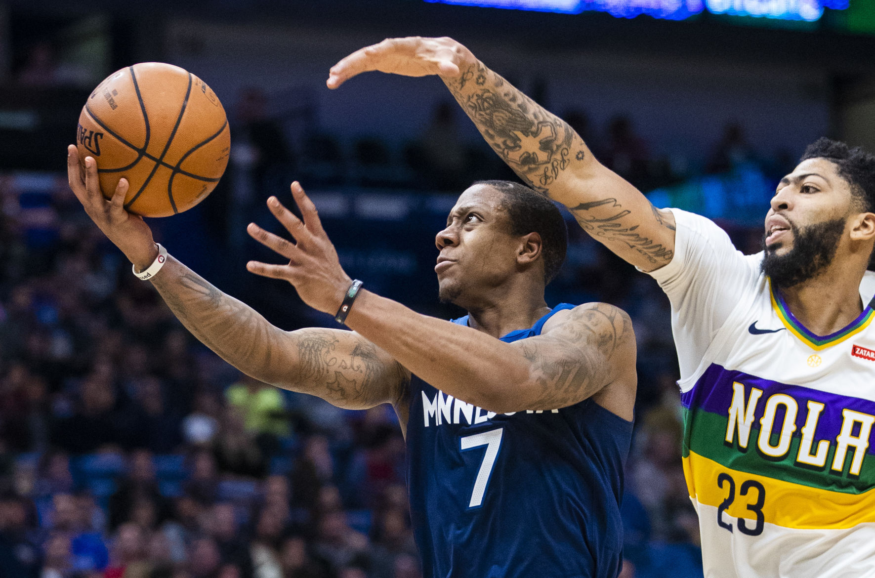 NO.pelicanwolves.020819.18.JPG